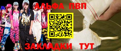 индика Кингисепп