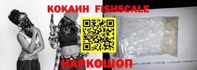 индика Кингисепп