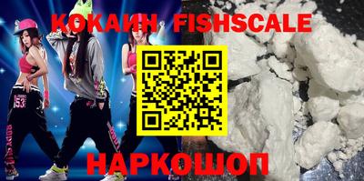 индика Кингисепп