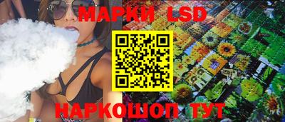 индика Кингисепп