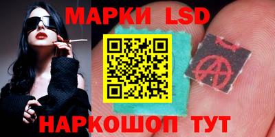 стаф Кинель