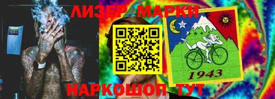 индика Кингисепп
