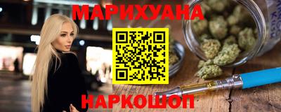 индика Кингисепп