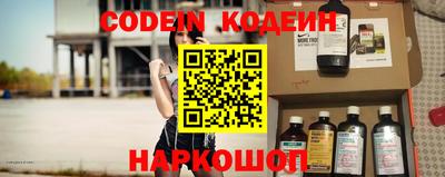 индика Кингисепп