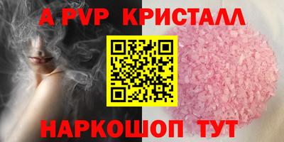 индика Кингисепп