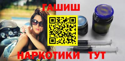 индика Кингисепп